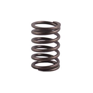 Resorte Eje Principal 20X55X1.6Mm Forte Fd900T